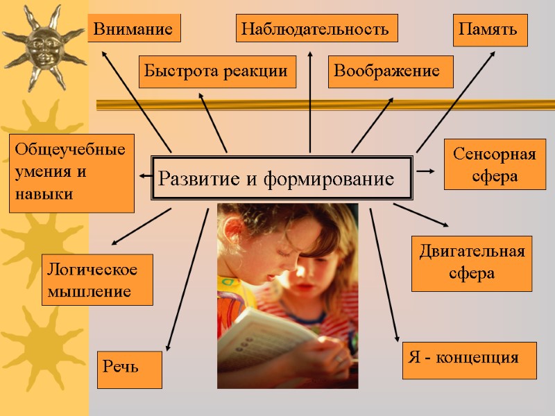 Развитие и формирование Внимание Наблюдательность Память Быстрота реакции Воображение Общеучебные умения и навыки Логическое